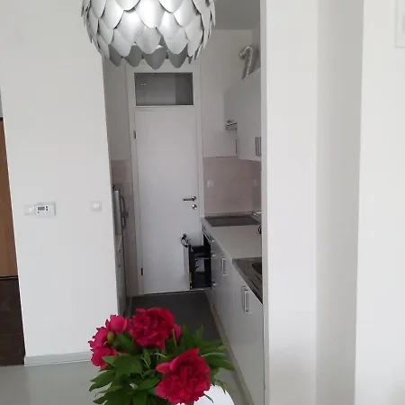 Apartman Viktor 아파트 *